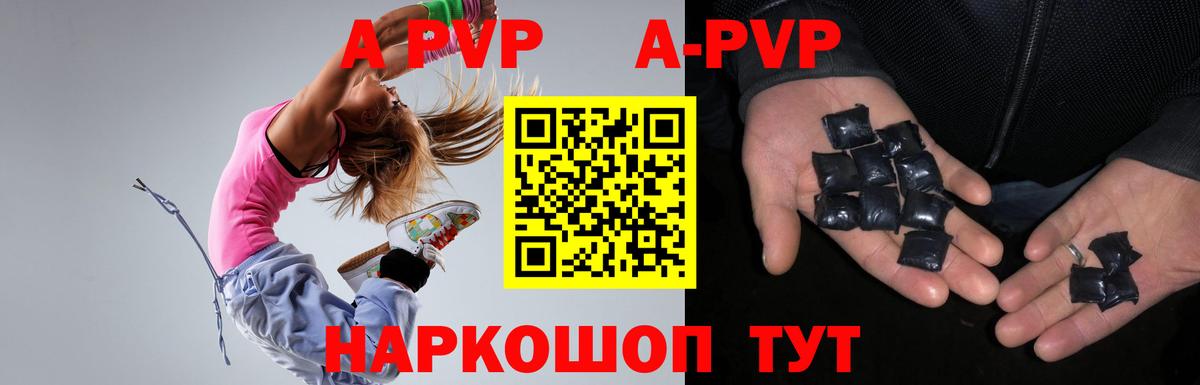A PVP СК Камышин