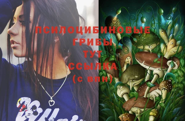 сатива Осинники