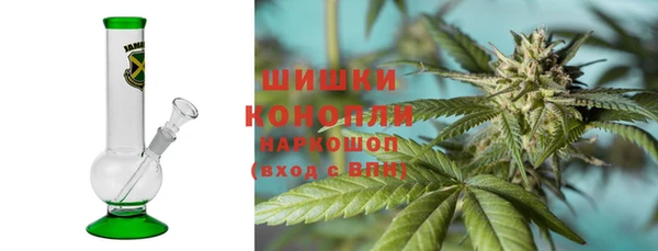 сатива Осинники