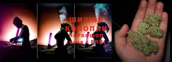 сатива Осинники
