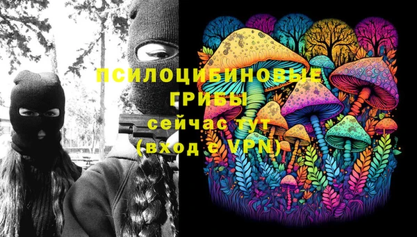герыч Нязепетровск