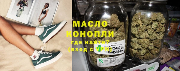 сатива Осинники