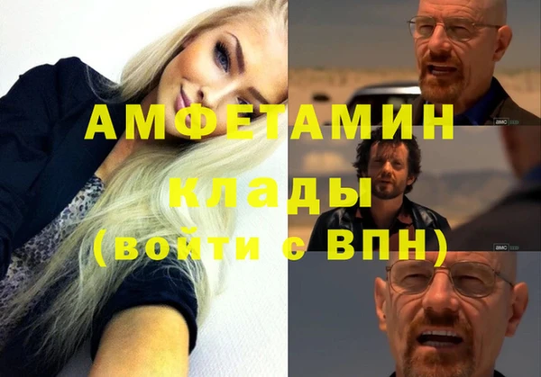сатива Осинники