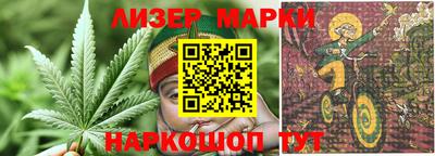 спиды Гай