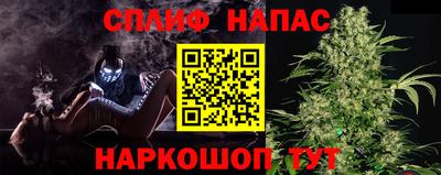 спиды Гай