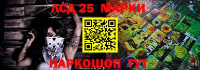 спиды Гай