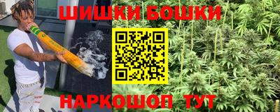 спиды Гай