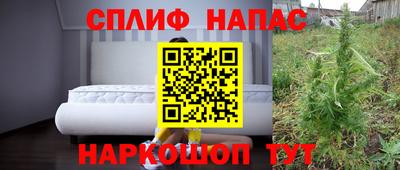 скорость Гагарин