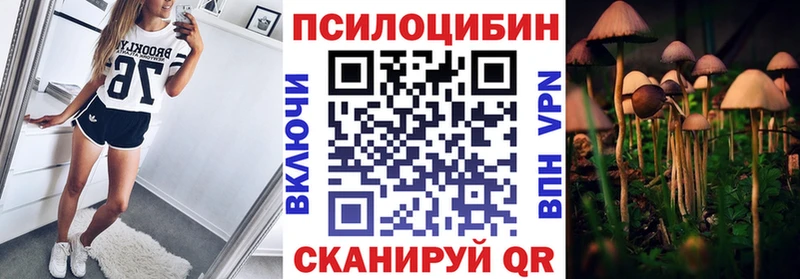 Галлюциногенные грибы Psilocybine cubensis где купить blacksprut ССЫЛКА Камышин