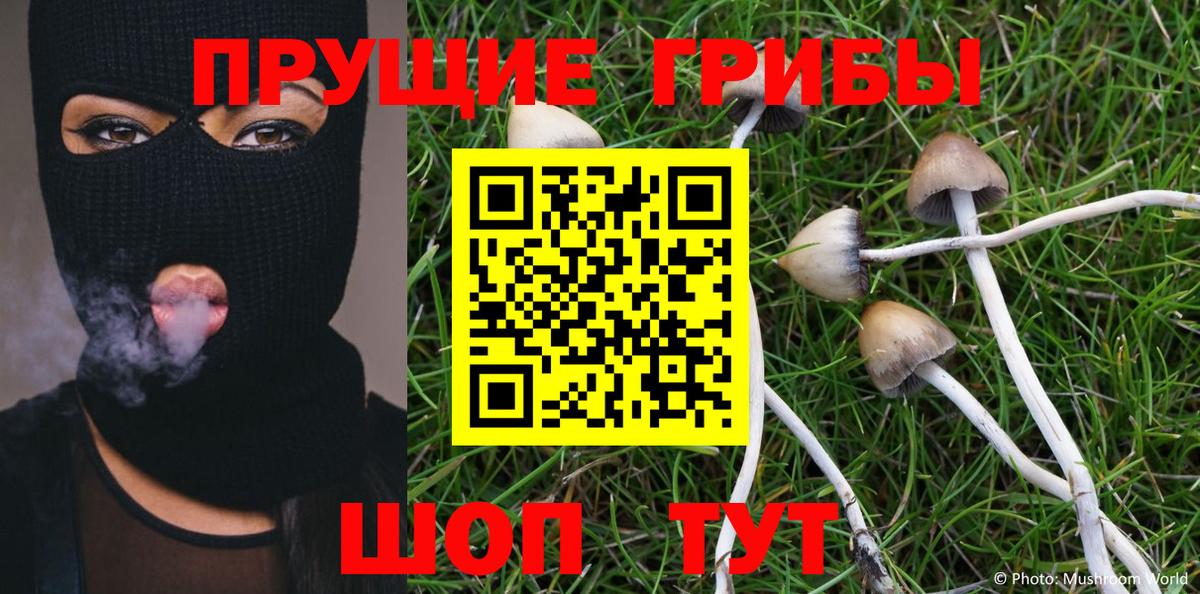 Галлюциногенные грибы Psilocybine cubensis  Галлюциногенные грибы MAGIC MUSHROOMS  Камышин 