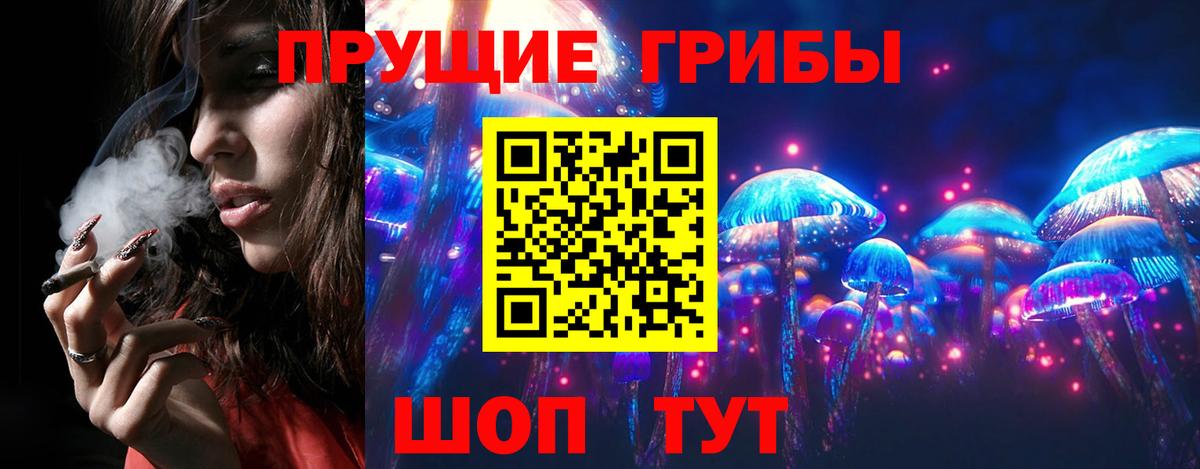 Галлюциногенные грибы Psilocybine cubensis Камышин