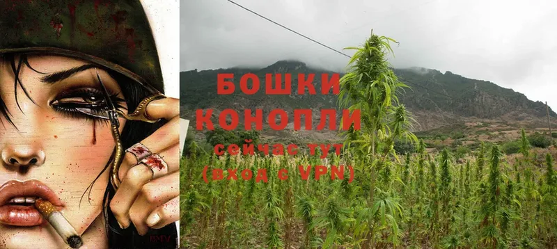 Конопля Ganja  купить наркотики цена  Камышин 