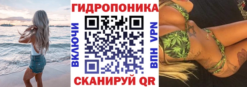 магазин    Камышин  Бошки марихуана гибрид 